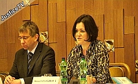 Semin Stdav pe, Poslaneck snmovna, 22. 2. 2011